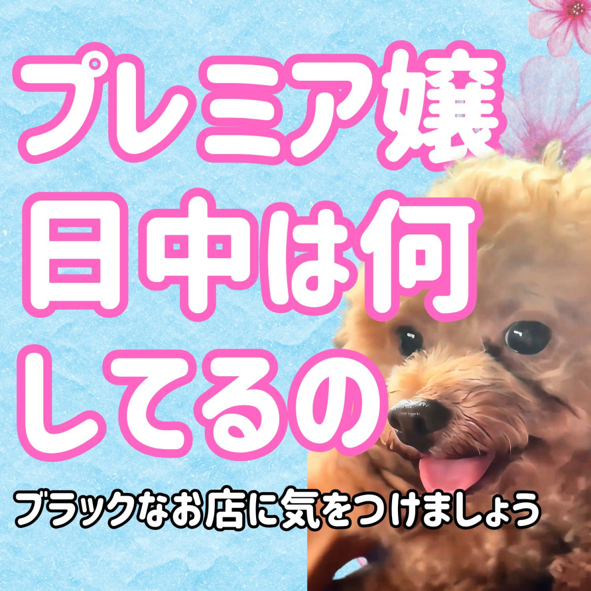 CLUB PREMIERの最新ニュース