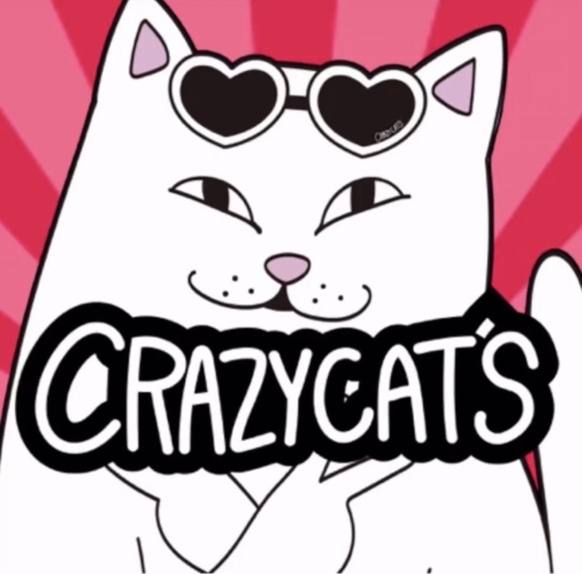 CRAZY CAT'Sの最新ニュース